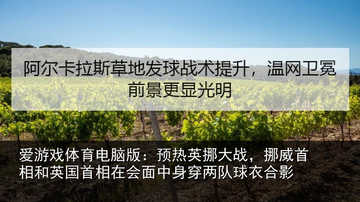 爱游戏体育电脑版：预热英挪大战，挪威首相和英国首相在会面中身穿两队球衣合影